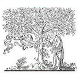 ScienceDirect